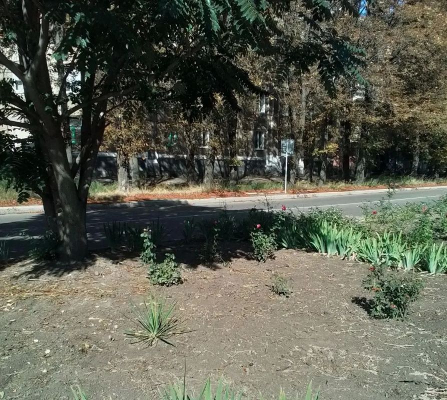 Сегодня, 4 сентября, в рамках благоустройства и наведения санитарного порядка силами сотрудников Муниципального бюджетного учреждения «Городской дворец культуры им. В. Г. Кирсановой», Дворец культуры «ЯКХЗ» проведены работы... Сегодня, 4 сентября, в рамках благоустройства и наведения санитарного порядка силами сотрудников Муниципального бюджетного учреждения «Городской дворец культуры им. В. Г. Кирсановой», Дворец культуры «ЯКХЗ» проведены работы...