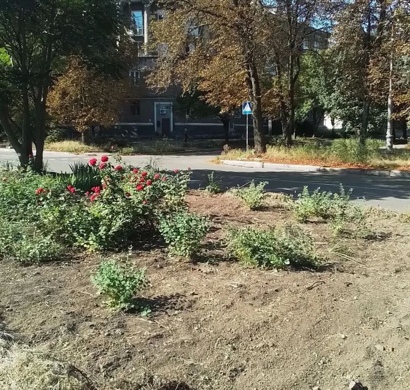 Сегодня, 4 сентября, в рамках благоустройства и наведения санитарного порядка силами сотрудников Муниципального бюджетного учреждения «Городской дворец культуры им. В. Г. Кирсановой», Дворец культуры «ЯКХЗ» проведены работы... Сегодня, 4 сентября, в рамках благоустройства и наведения санитарного порядка силами сотрудников Муниципального бюджетного учреждения «Городской дворец культуры им. В. Г. Кирсановой», Дворец культуры «ЯКХЗ» проведены работы...