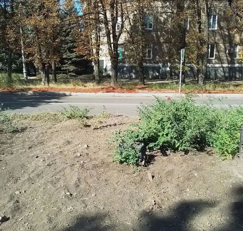 Сегодня, 4 сентября, в рамках благоустройства и наведения санитарного порядка силами сотрудников Муниципального бюджетного учреждения «Городской дворец культуры им. В. Г. Кирсановой», Дворец культуры «ЯКХЗ» проведены работы... Сегодня, 4 сентября, в рамках благоустройства и наведения санитарного порядка силами сотрудников Муниципального бюджетного учреждения «Городской дворец культуры им. В. Г. Кирсановой», Дворец культуры «ЯКХЗ» проведены работы...