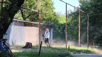 С целью приведения территории в надлежащее санитарное состояние жителями проведены работы по покосу сорных и карантинных трав по улице Панаса Мирного