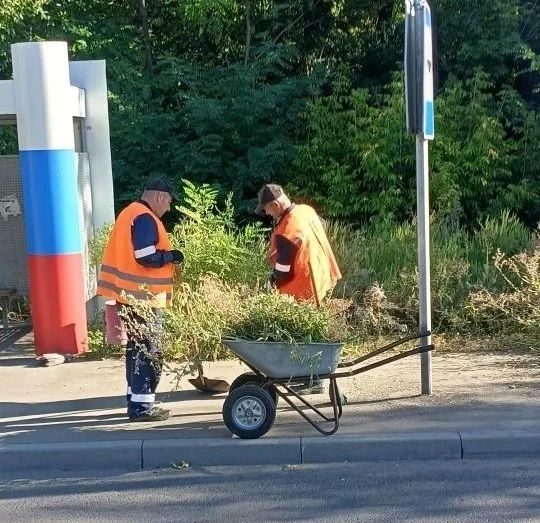 Сегодня, 10 сентября, с целью приведения территории в надлежащее санитарное состояние сотрудниками Филиала № 5 «Ясиновский коксохимический завод» ООО «ЮГМК ДОНЕЦК» проведены работы по покосу и уборке сорных и карантинных... Сегодня, 10 сентября, с целью приведения территории в надлежащее санитарное состояние сотрудниками Филиала № 5 «Ясиновский коксохимический завод» ООО «ЮГМК ДОНЕЦК» проведены работы по покосу и уборке сорных и карантинных...