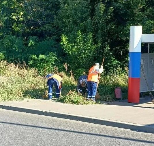 Сегодня, 10 сентября, с целью приведения территории в надлежащее санитарное состояние сотрудниками Филиала № 5 «Ясиновский коксохимический завод» ООО «ЮГМК ДОНЕЦК» проведены работы по покосу и уборке сорных и карантинных... Сегодня, 10 сентября, с целью приведения территории в надлежащее санитарное состояние сотрудниками Филиала № 5 «Ясиновский коксохимический завод» ООО «ЮГМК ДОНЕЦК» проведены работы по покосу и уборке сорных и карантинных...