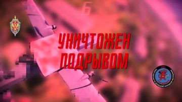 Подразделение "Горыныч" Донецкого Управления ФСБ уничтожило 6 вражеских дронов над Донецком и Макеевкой