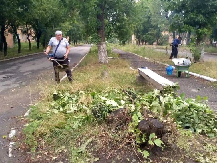 Умение жить по-соседски складывается из простых, но бесценных вещей: чуткости, готовности подставить плечо и искреннего желания участвовать в жизни своего двора Умение жить по-соседски складывается из простых, но бесценных вещей: чуткости, готовности подставить плечо и искреннего желания участвовать в жизни своего двора