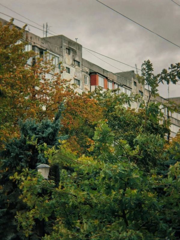 Даже в пасмурную погоду Горняцкий район по-своему красив и наполнен особым настроением Даже в пасмурную погоду Горняцкий район по-своему красив и наполнен особым настроением