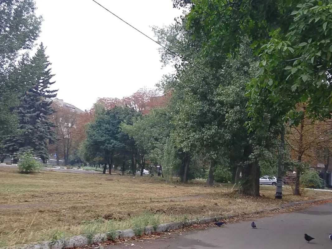 Сегодня, 16 сентября, с целью приведения территории в надлежащее санитарное состояние силами МУП АГМ «Перспектива» проведены работы по покосу сорных и карантинных трав на прилегающей территории МБУ «Городской дворец культуры... Сегодня, 16 сентября, с целью приведения территории в надлежащее санитарное состояние силами МУП АГМ «Перспектива» проведены работы по покосу сорных и карантинных трав на прилегающей территории МБУ «Городской дворец культуры...