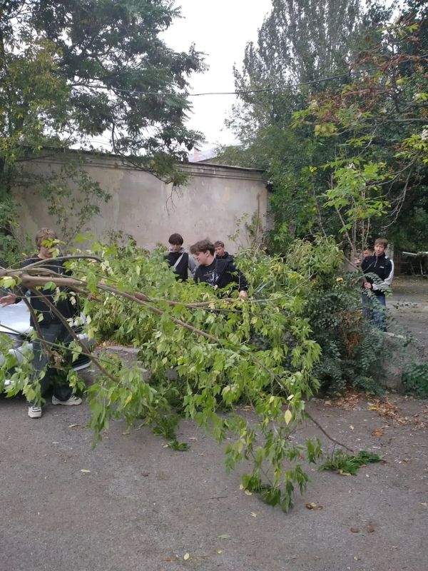 В Центрально-Городском внутригородском районе с целью реализации проекта Единой России «Городская среда» прошла еженедельная акция «Чистый четверг» В Центрально-Городском внутригородском районе с целью реализации проекта Единой России «Городская среда» прошла еженедельная акция «Чистый четверг»
