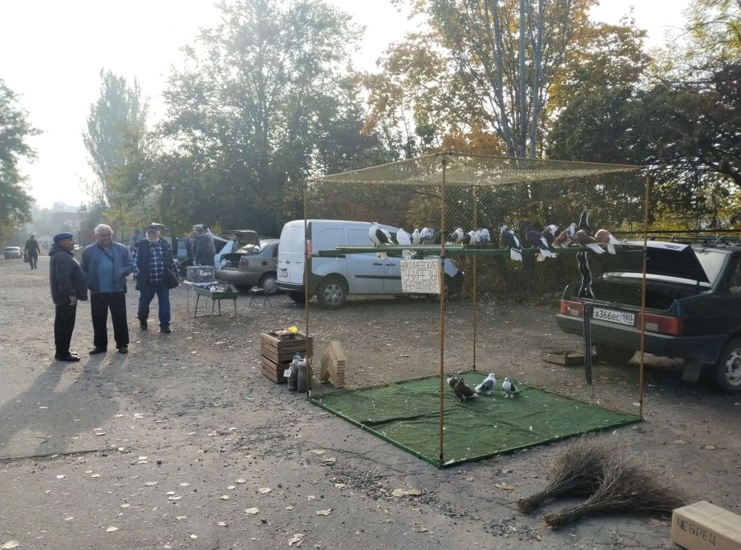 Выставка голубей в Червоногвардейском районе: праздник для любителей пернатых Выставка голубей в Червоногвардейском районе: праздник для любителей пернатых