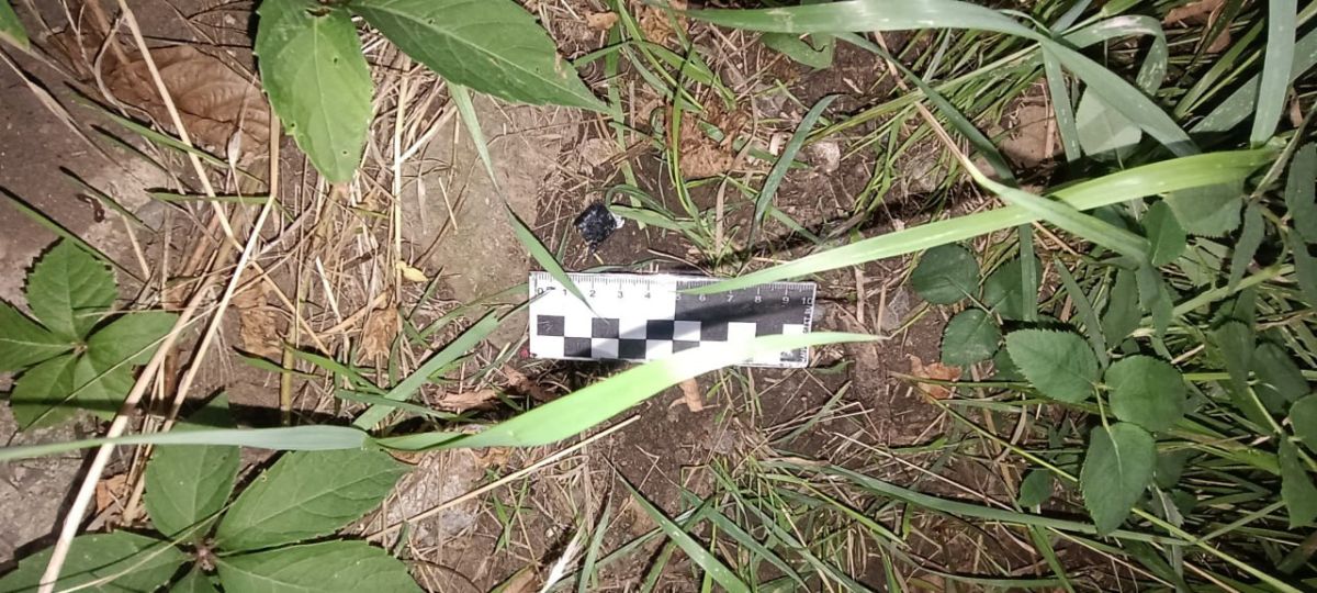 В Старобешевском м.о. полицейские пресекли два факта незаконного оборота наркотиков