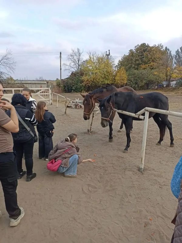 Воспитанники ММООИ «Ника плюс» побывали в конно-спортивном клубе «Гран-При» Воспитанники ММООИ «Ника плюс» побывали в конно-спортивном клубе «Гран-При»