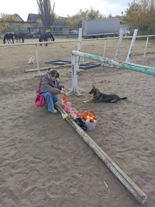 Воспитанники ММООИ «Ника плюс» побывали в конно-спортивном клубе «Гран-При» Воспитанники ММООИ «Ника плюс» побывали в конно-спортивном клубе «Гран-При»