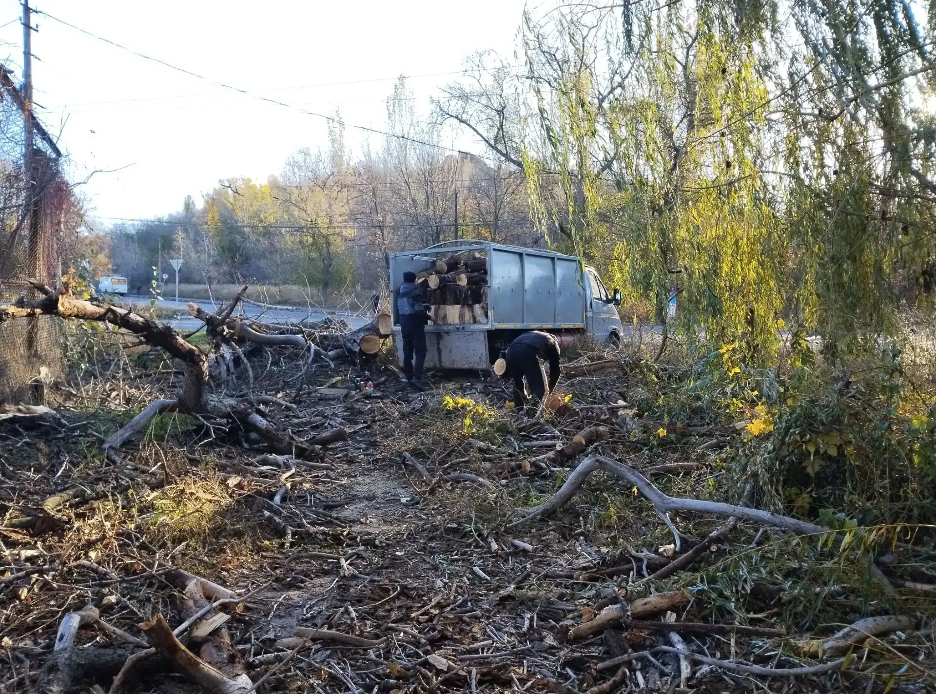 Сегодня, 30 октября в Червоногвардейском внутригородском районе силами МУП АГМ "Перспектива" осуществляются работы по спилу аварийных деревьев по улице Свободы