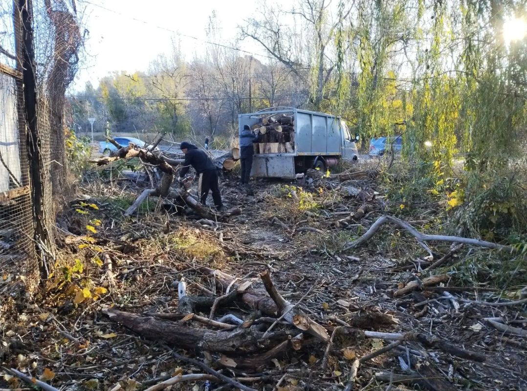 Сегодня, 30 октября в Червоногвардейском внутригородском районе силами МУП АГМ "Перспектива" осуществляются работы по спилу аварийных деревьев по улице Свободы Сегодня, 30 октября в Червоногвардейском внутригородском районе силами МУП АГМ "Перспектива" осуществляются работы по спилу аварийных деревьев по улице Свободы